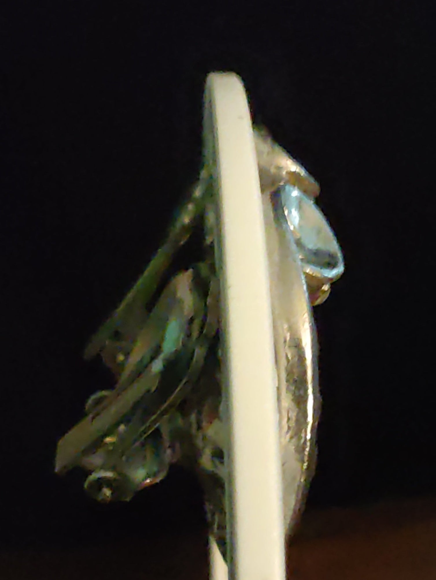 Vintage Fan-shaped Clip Earrings