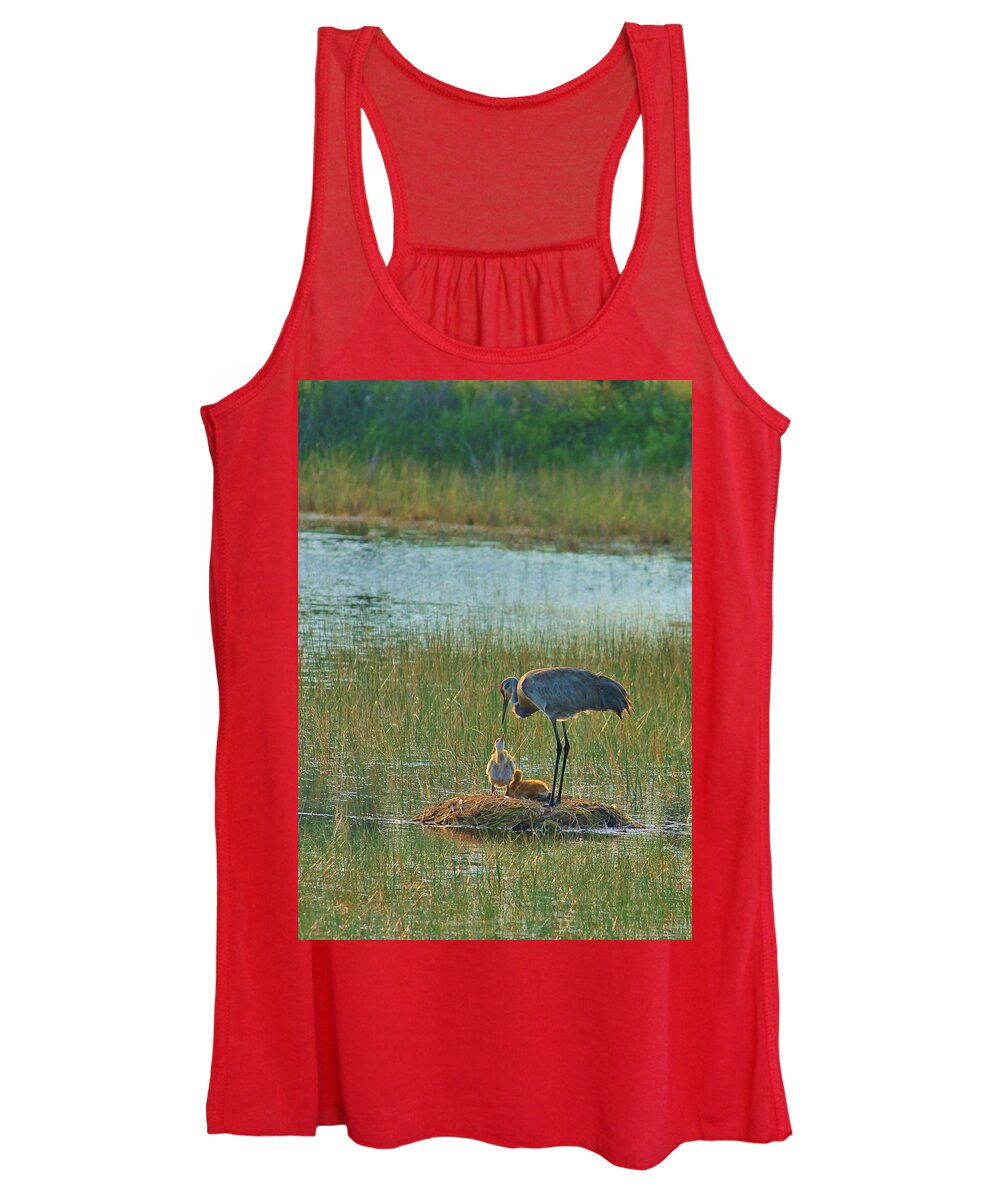 Sandhill Crane and Chicks in Malabar, Florida - Women's Tank Top