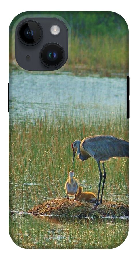 Sandhill Crane and Chicks in Malabar, Florida - Phone Case