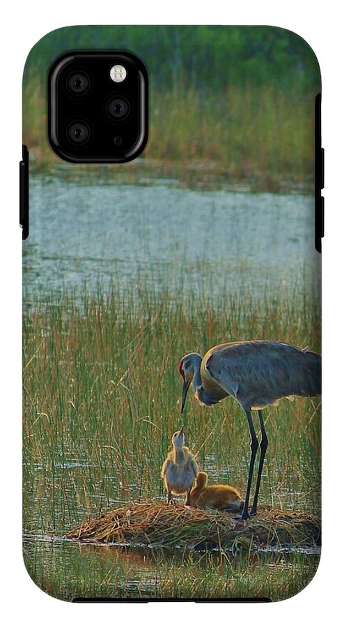 Sandhill Crane and Chicks in Malabar, Florida - Phone Case
