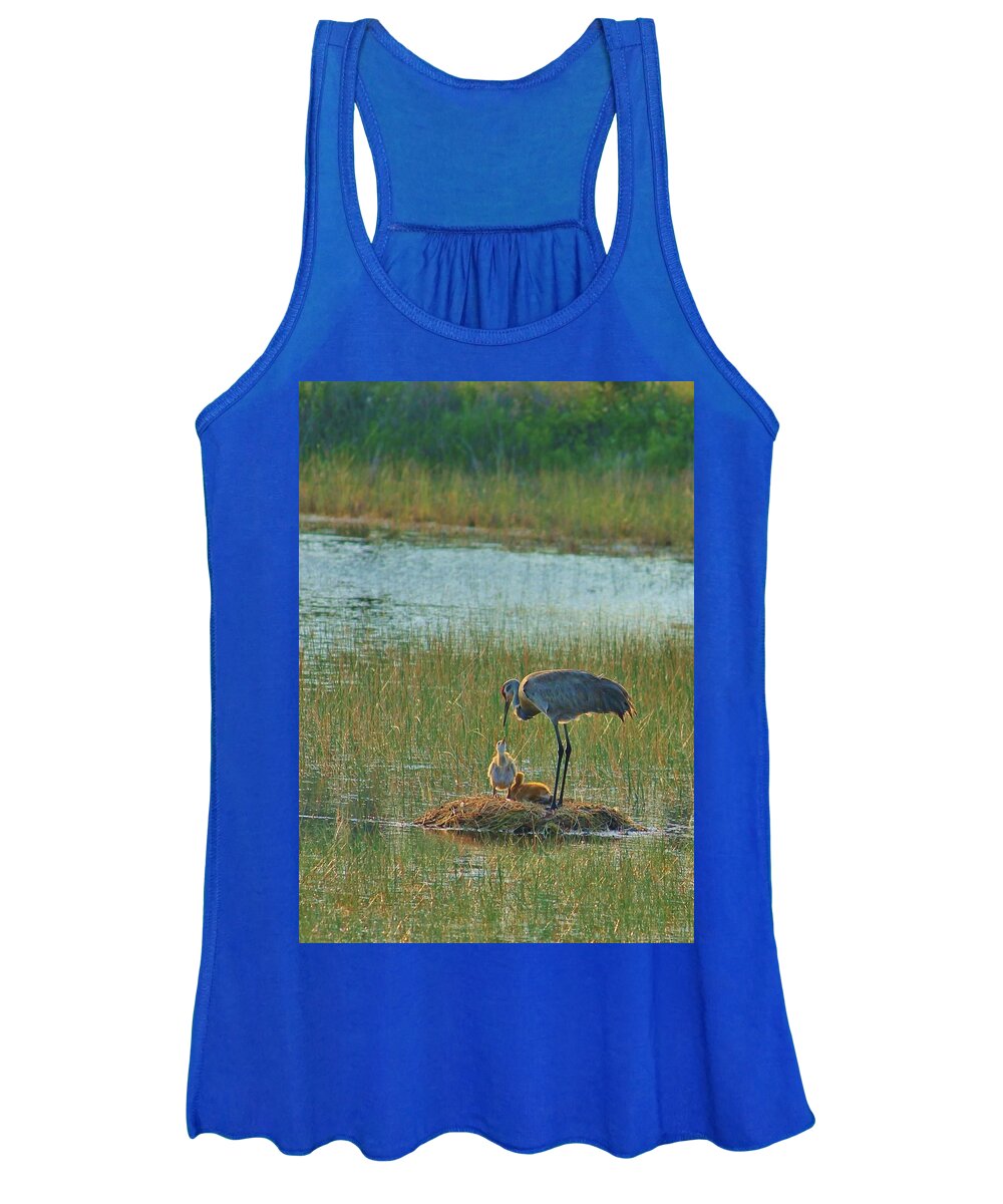 Sandhill Crane and Chicks in Malabar, Florida - Women's Tank Top