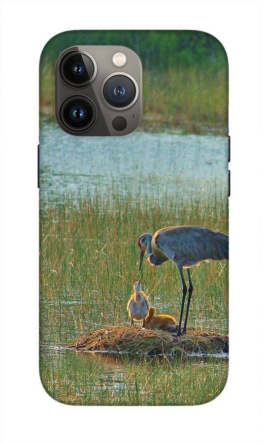 Sandhill Crane and Chicks in Malabar, Florida - Phone Case