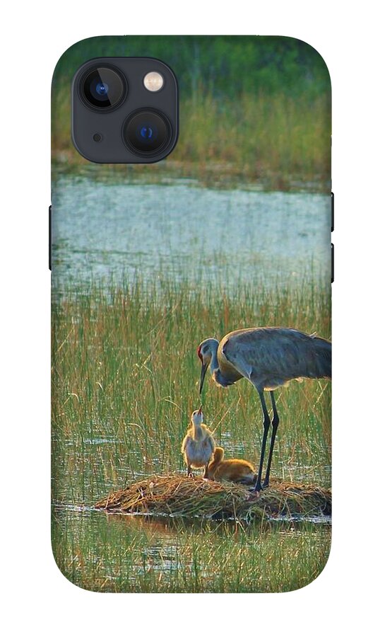 Sandhill Crane and Chicks in Malabar, Florida - Phone Case