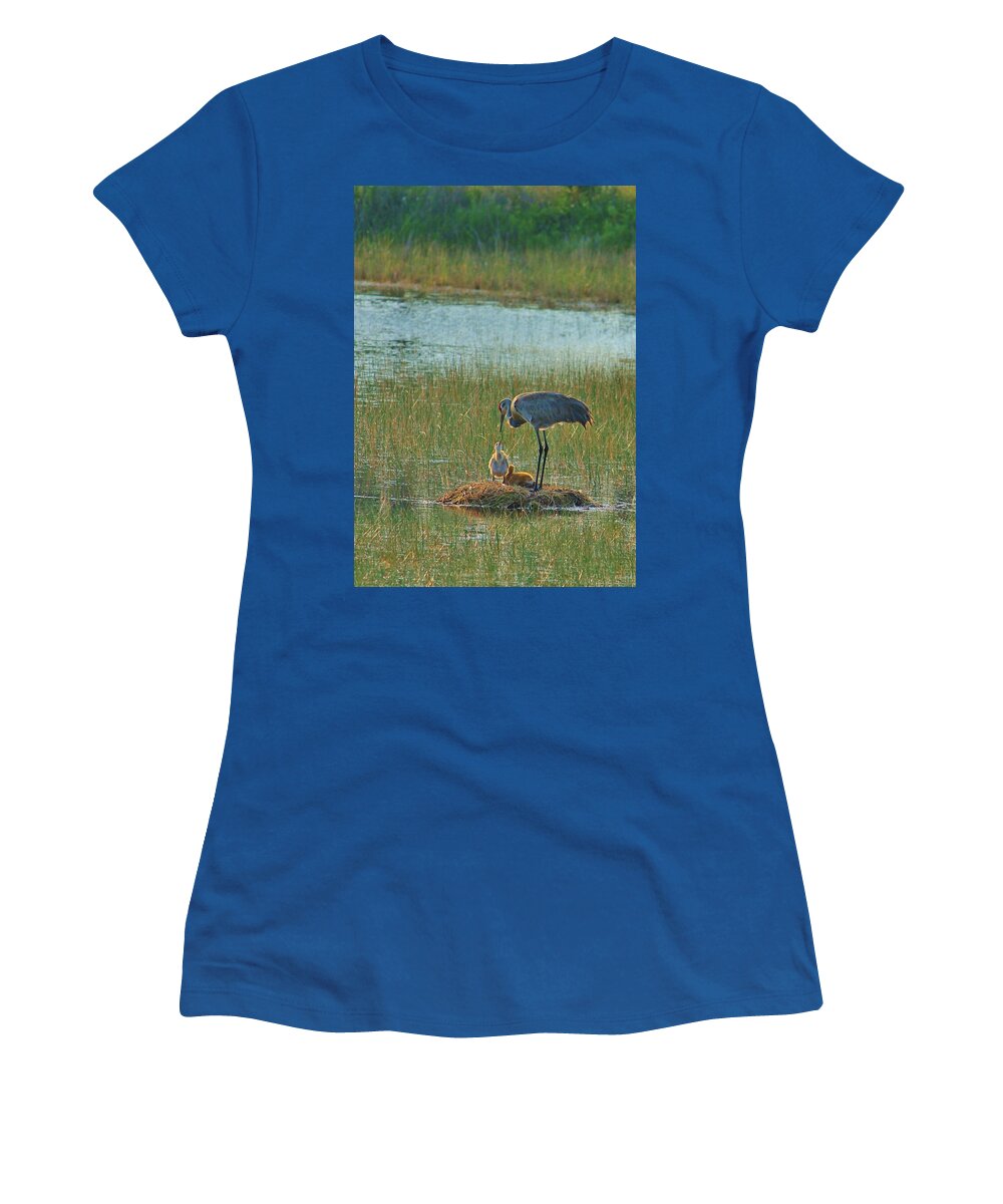 Sandhill Crane and Chicks in Malabar, Florida - Women's T-Shirt