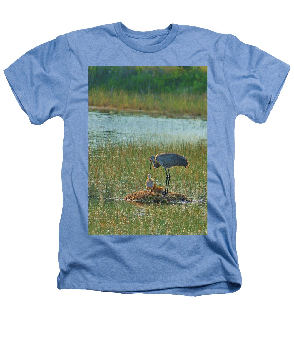 Sandhill Crane and Chicks in Malabar, Florida - Heathers T-Shirt