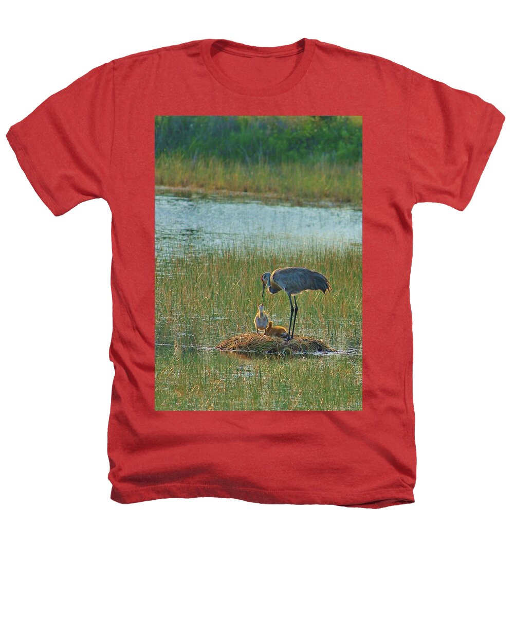 Sandhill Crane and Chicks in Malabar, Florida - Heathers T-Shirt