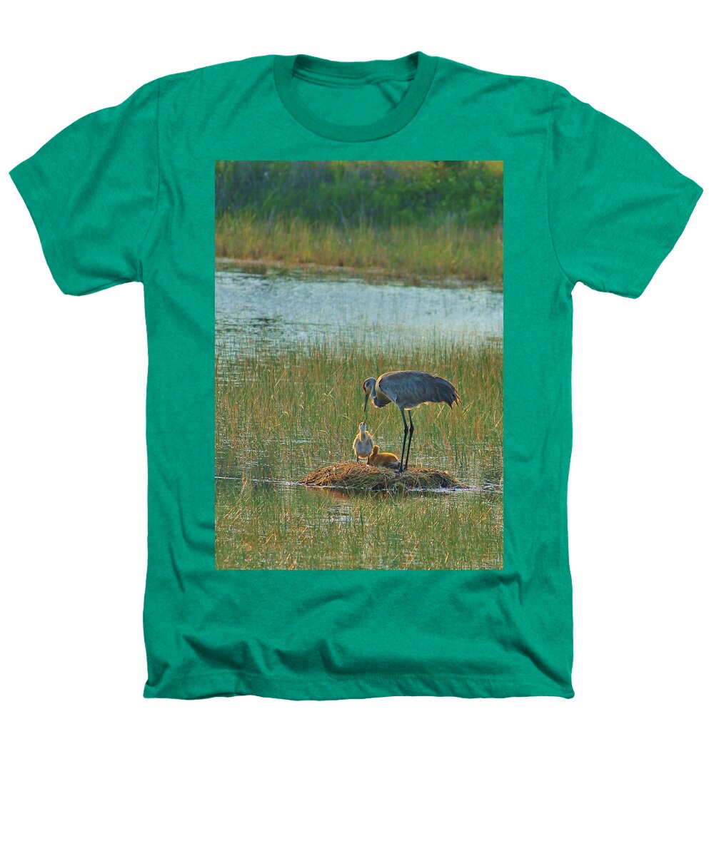 Sandhill Crane and Chicks in Malabar, Florida - Heathers T-Shirt