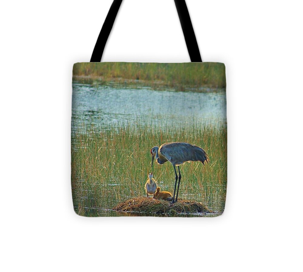 Sandhill Crane and Chicks in Malabar, Florida - Tote Bag