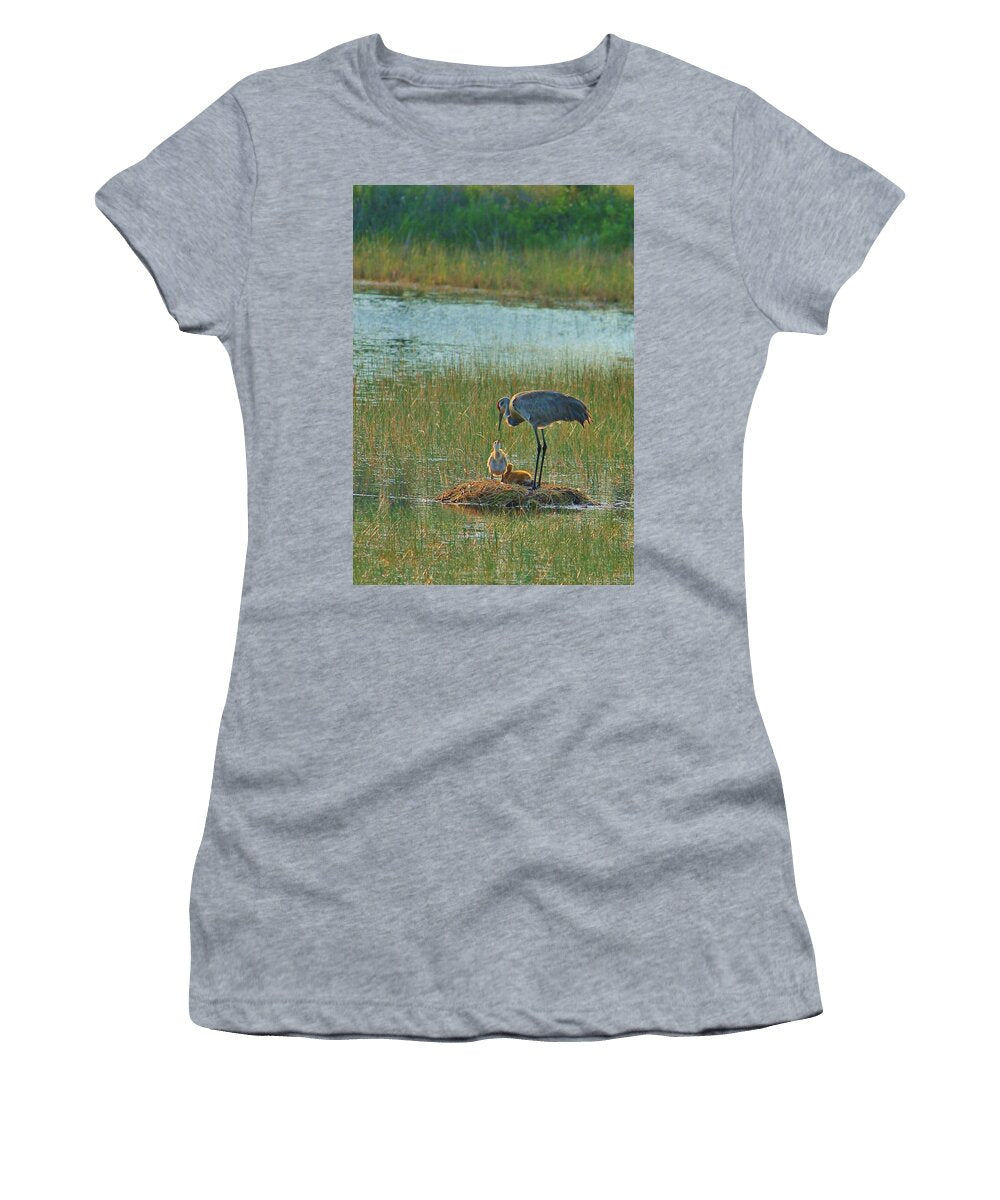 Sandhill Crane and Chicks in Malabar, Florida - Women's T-Shirt