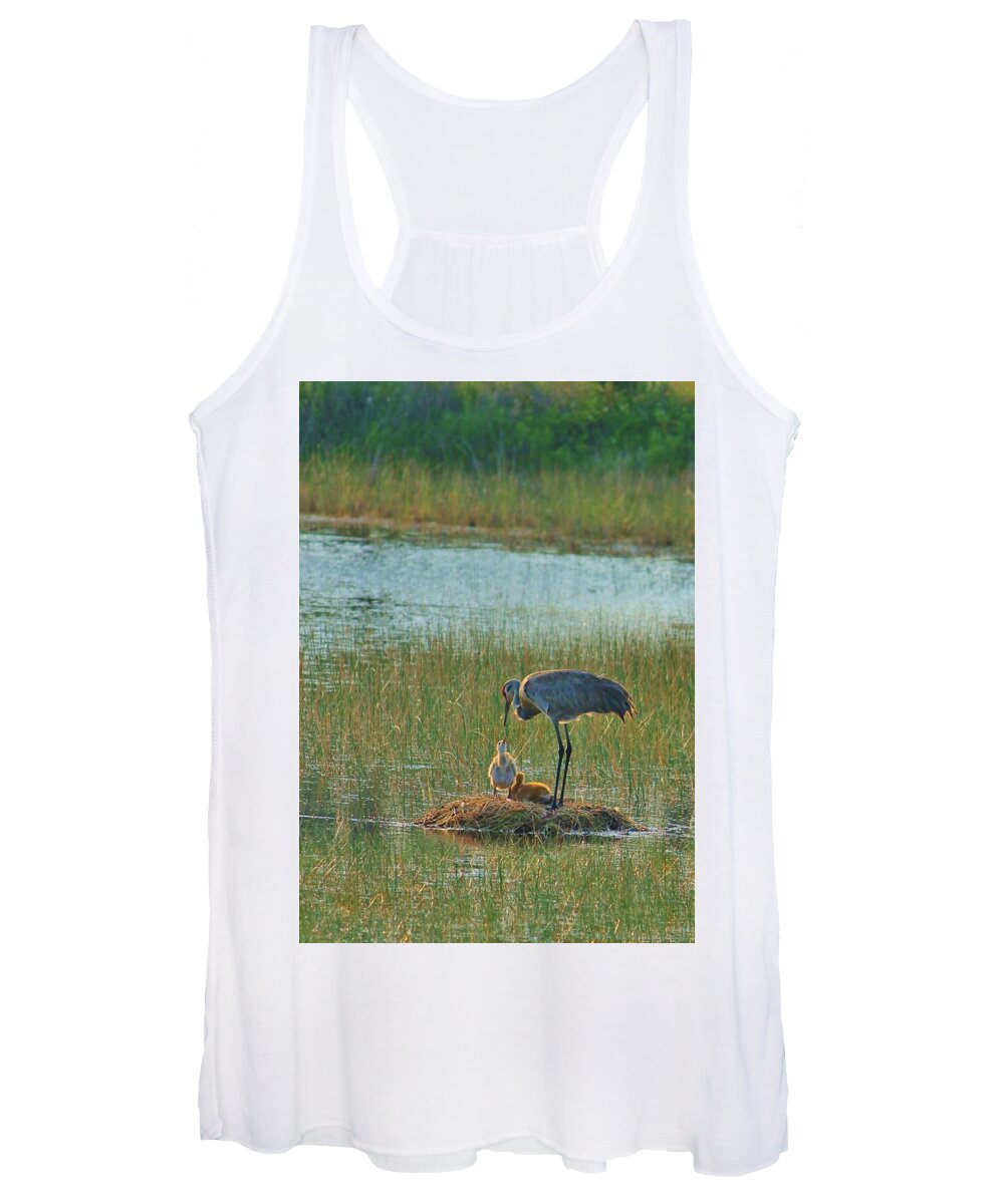 Sandhill Crane and Chicks in Malabar, Florida - Women's Tank Top