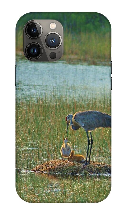 Sandhill Crane and Chicks in Malabar, Florida - Phone Case