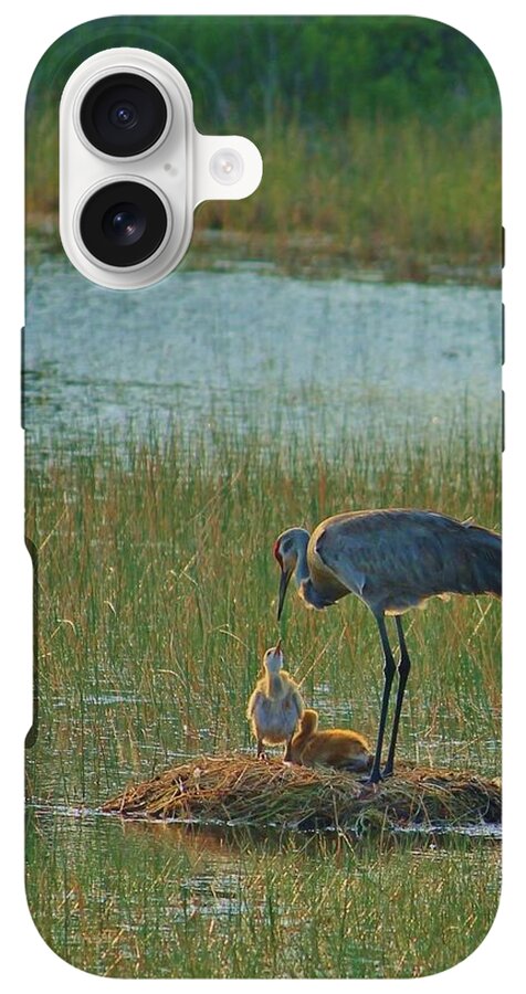 Sandhill Crane and Chicks in Malabar, Florida - Phone Case