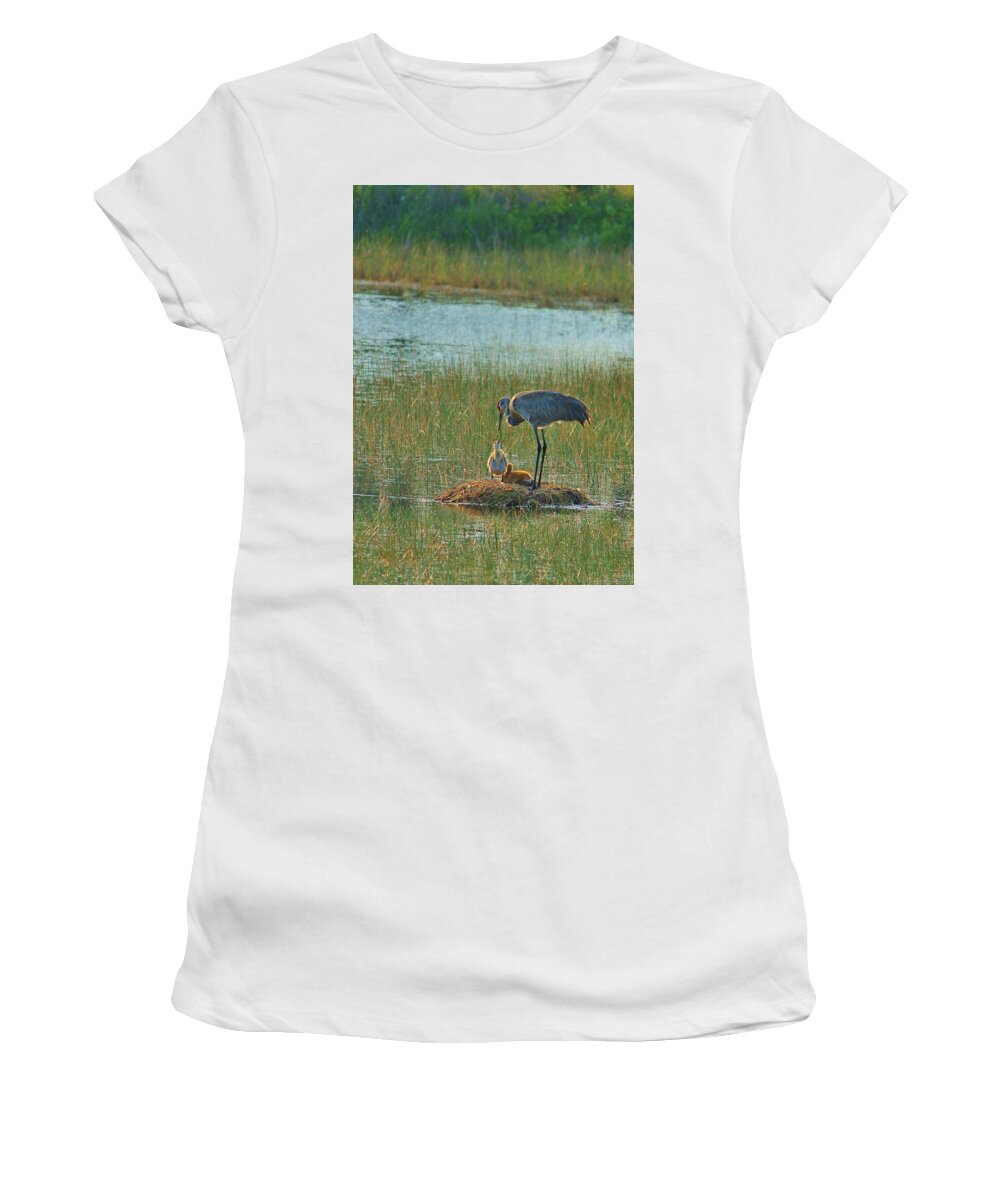 Sandhill Crane and Chicks in Malabar, Florida - Women's T-Shirt