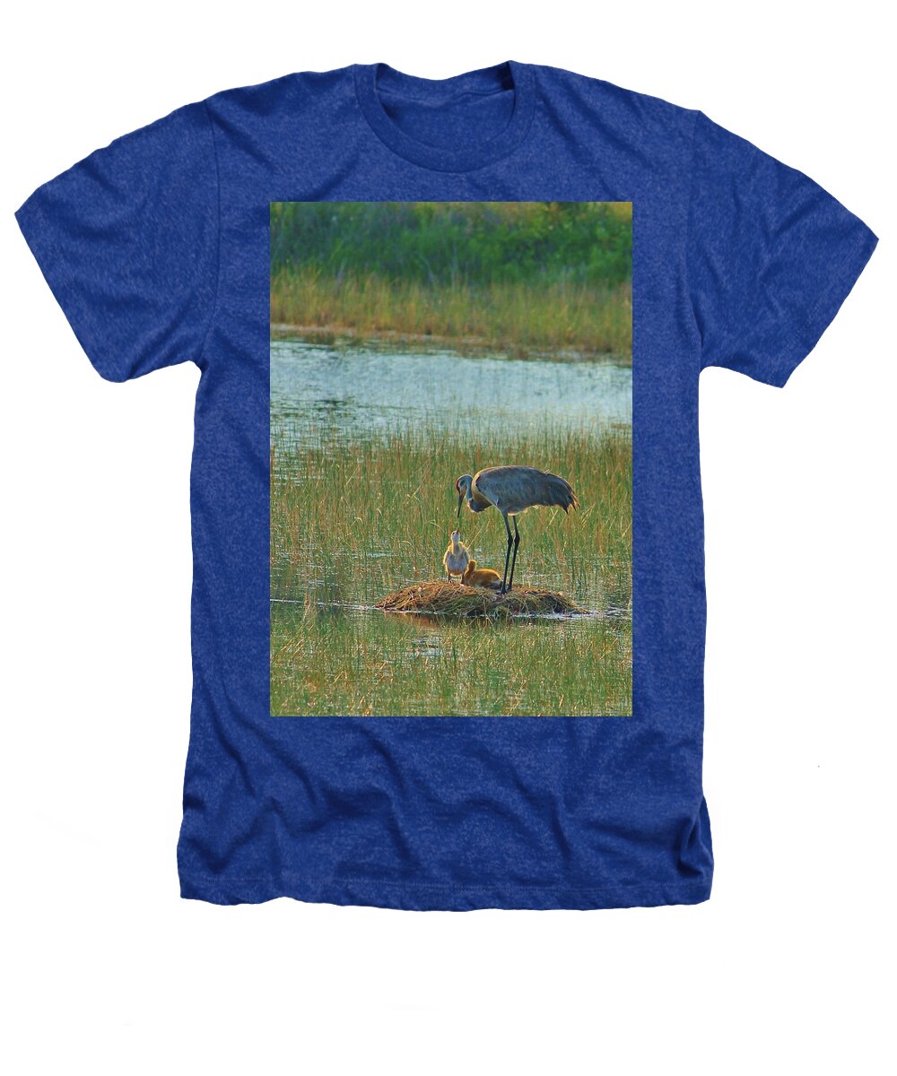 Sandhill Crane and Chicks in Malabar, Florida - Heathers T-Shirt