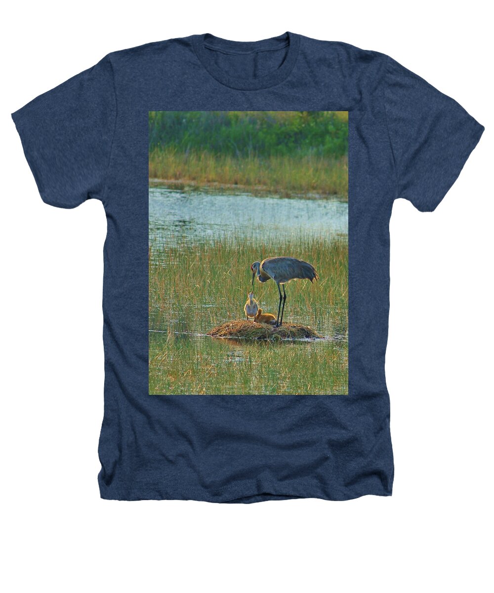Sandhill Crane and Chicks in Malabar, Florida - Heathers T-Shirt