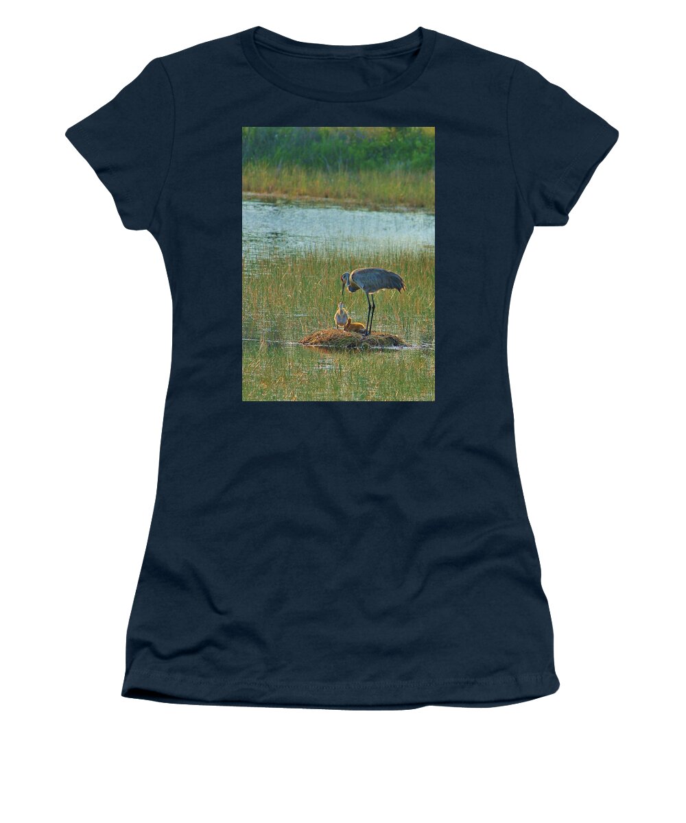 Sandhill Crane and Chicks in Malabar, Florida - Women's T-Shirt