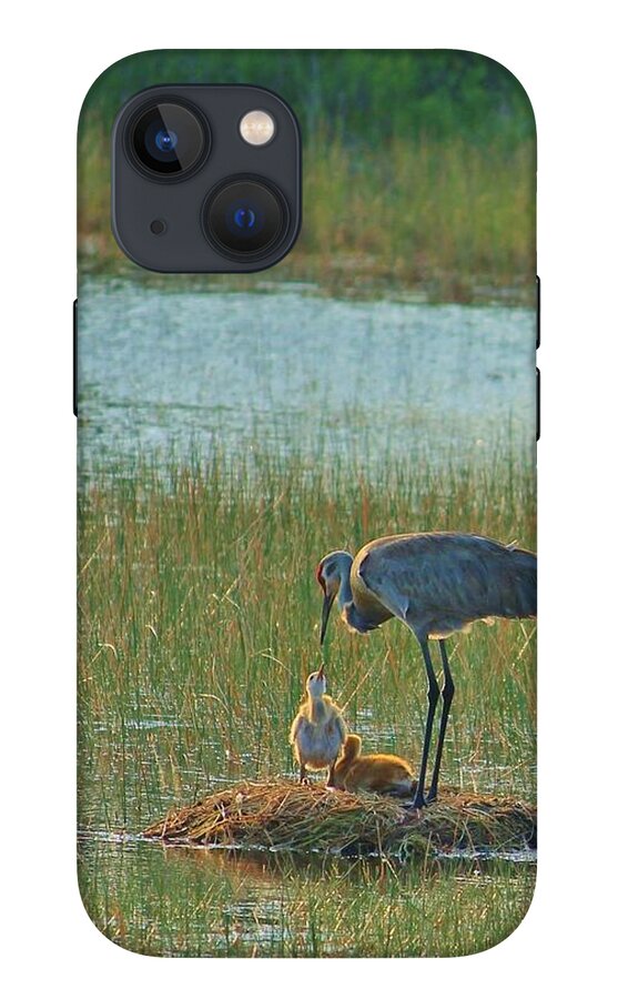 Sandhill Crane and Chicks in Malabar, Florida - Phone Case