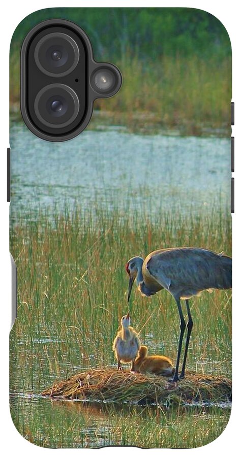 Sandhill Crane and Chicks in Malabar, Florida - Phone Case