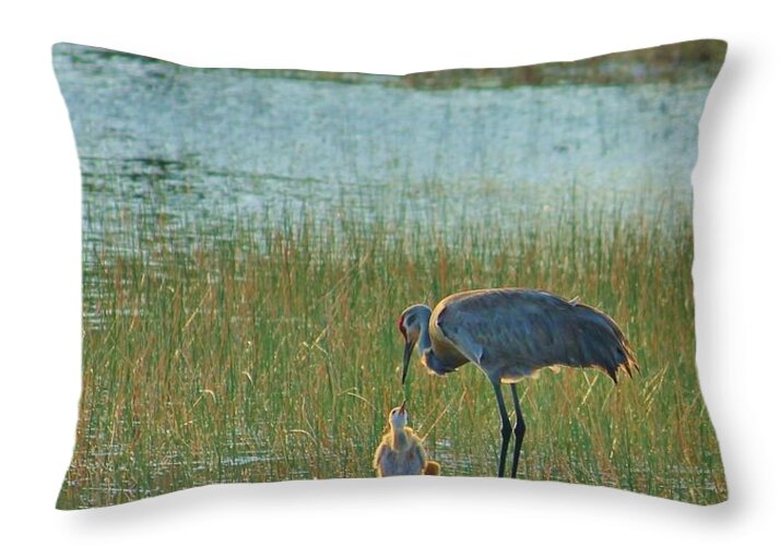 Sandhill Crane and Chicks in Malabar, Florida - Throw Pillow
