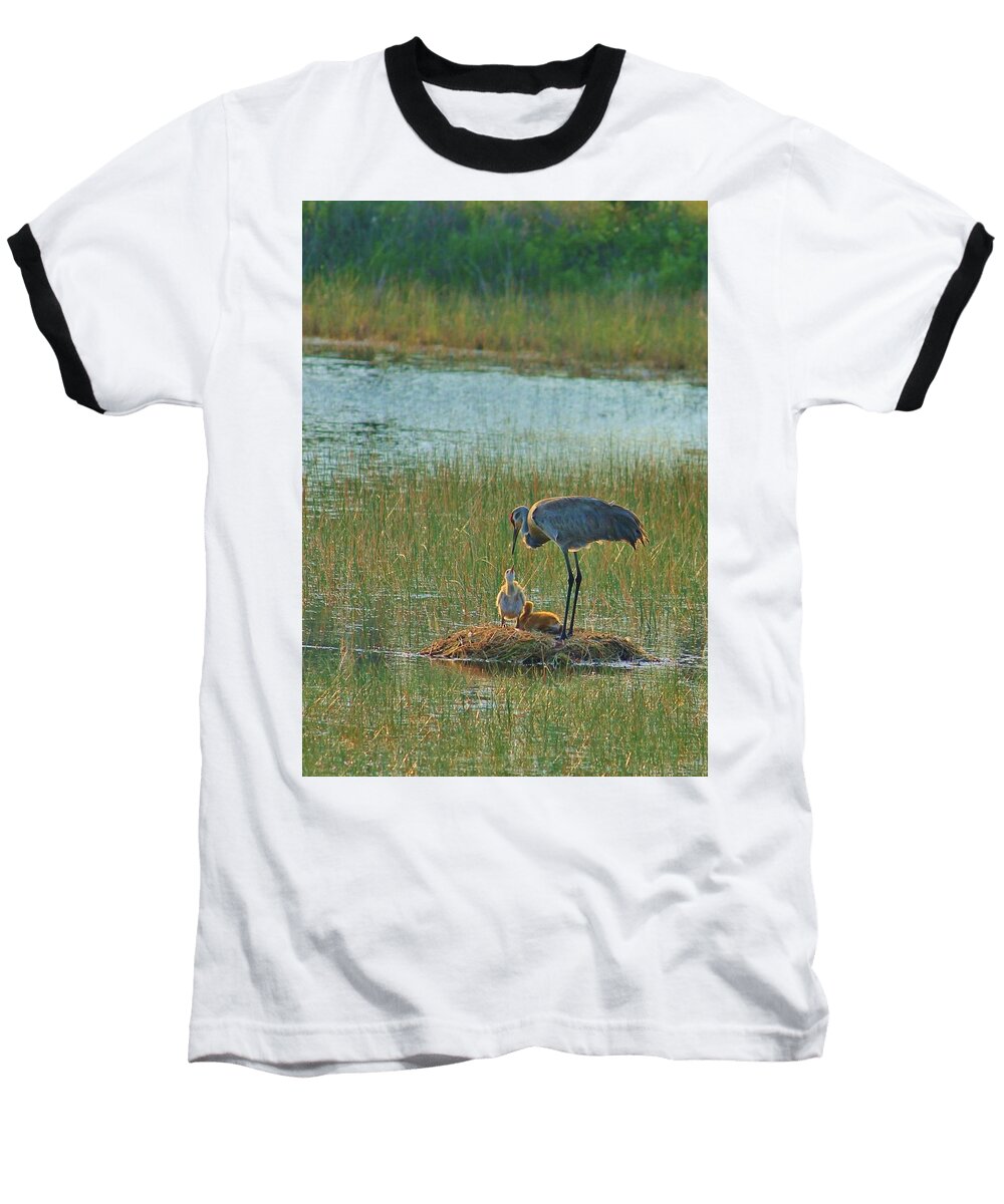 Sandhill Crane and Chicks in Malabar, Florida - Baseball T-Shirt