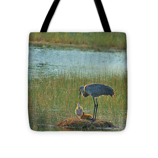 Sandhill Crane and Chicks in Malabar, Florida - Tote Bag
