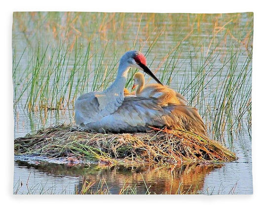 Sandhill Crane with Chicks Malabar Florida Blanket