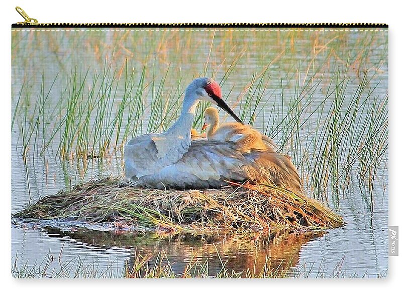 Sandhill Crane with Chicks Malabar Florida - Zip Pouch