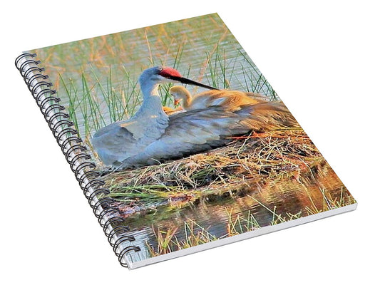 Sandhill Crane with Chicks Malabar Florida - Spiral Notebook