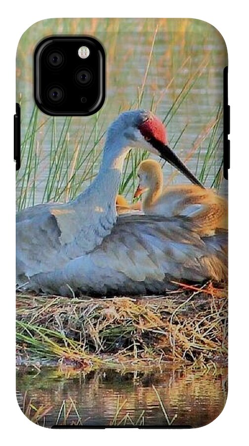 Sandhill Crane with Chicks Malabar Florida - Phone Case