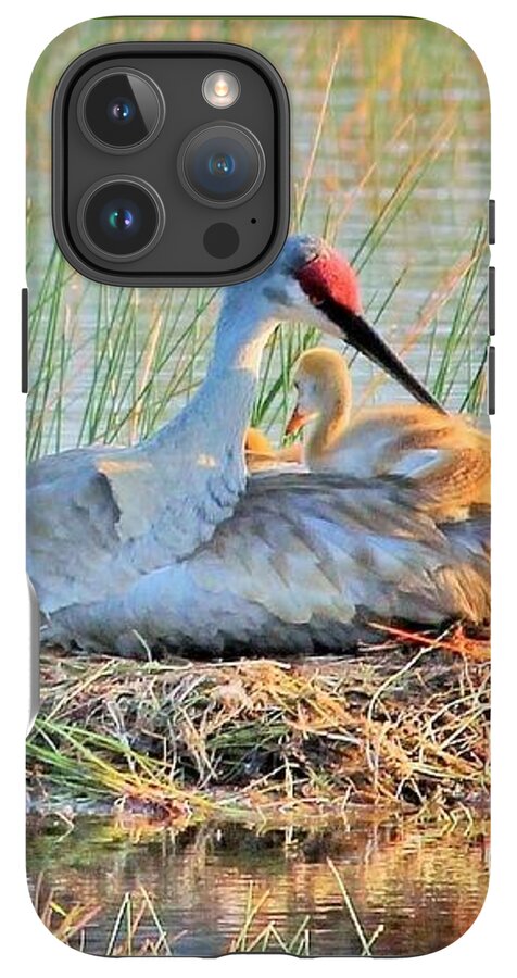 Sandhill Crane with Chicks Malabar Florida - Phone Case
