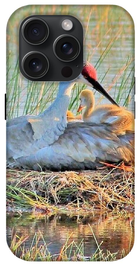 Sandhill Crane with Chicks Malabar Florida - Phone Case
