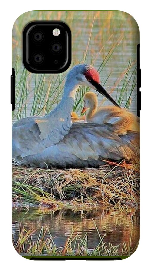 Sandhill Crane with Chicks Malabar Florida - Phone Case