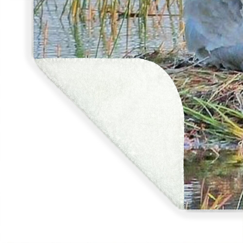 Sandhill Crane with Chicks Malabar Florida Blanket