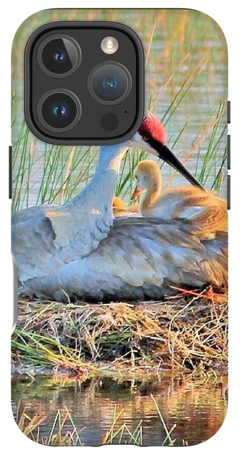Sandhill Crane with Chicks Malabar Florida - Phone Case