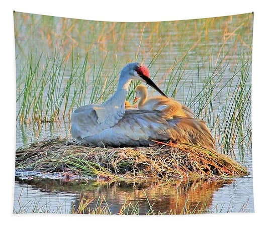 Sandhill Crane with Chicks Malabar Florida - Tapestry