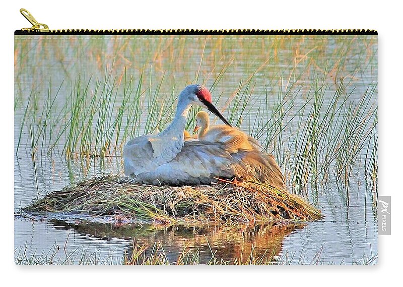 Sandhill Crane with Chicks Malabar Florida - Zip Pouch