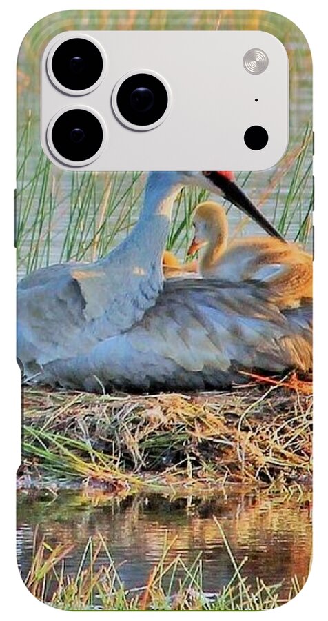 Sandhill Crane with Chicks Malabar Florida - Phone Case