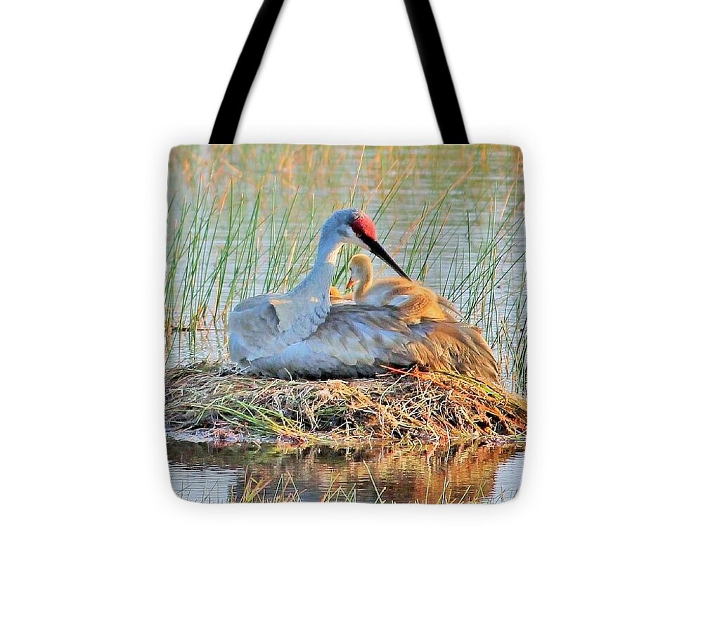 Sandhill Crane with Chicks Malabar Florida - Tote Bag