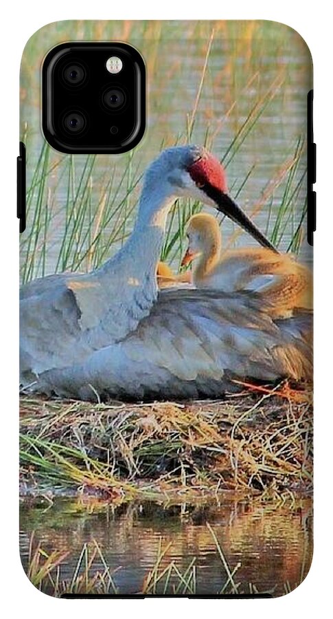 Sandhill Crane with Chicks Malabar Florida - Phone Case