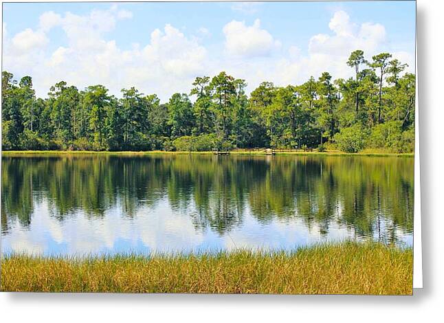Serene Horse Shoe South Lake in Chuluota Florida - Greeting Card