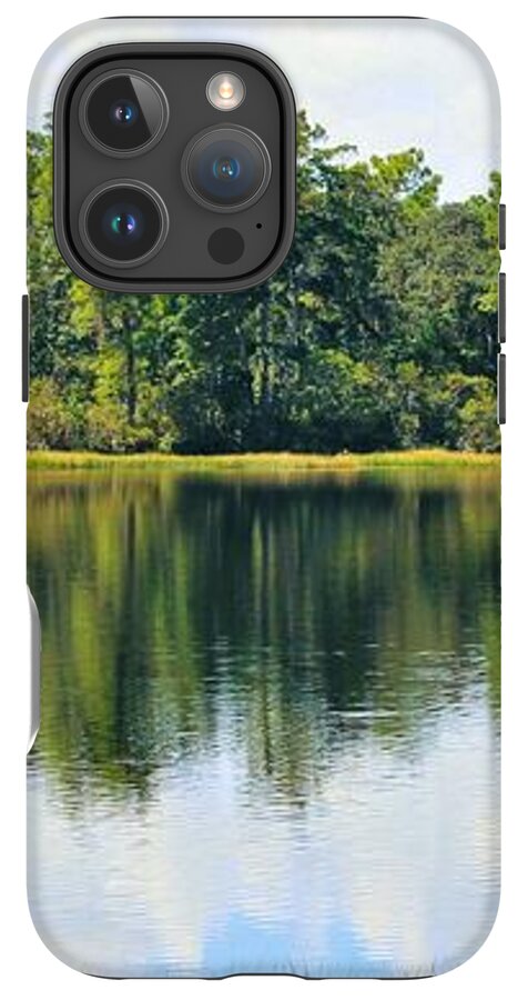 Serene Horse Shoe South Lake in Chuluota Florida - Phone Case