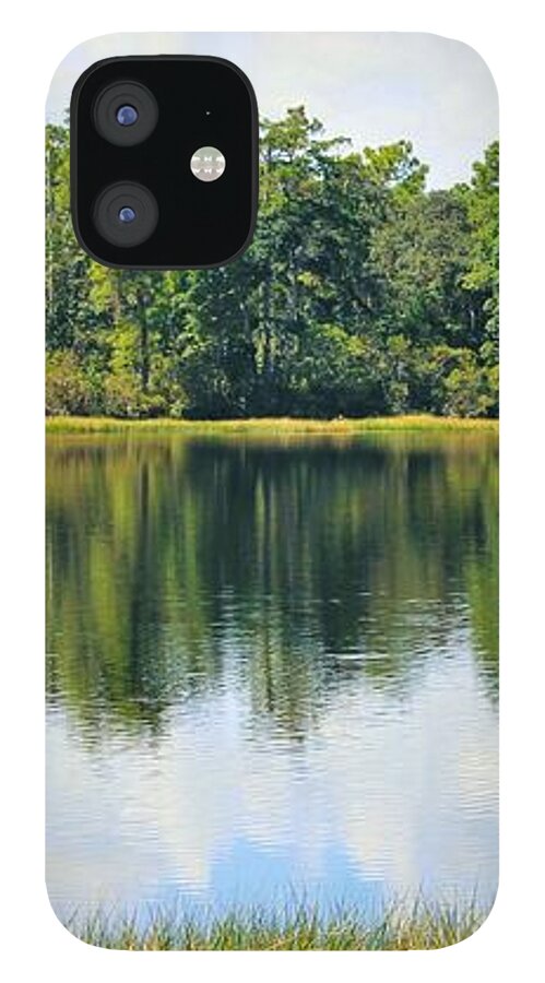 Serene Horse Shoe South Lake in Chuluota Florida - Phone Case