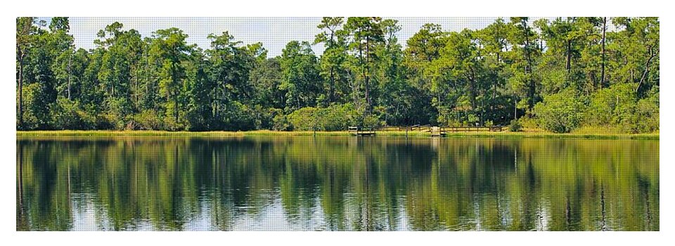 Serene Horse Shoe South Lake in Chuluota Florida - Yoga Mat