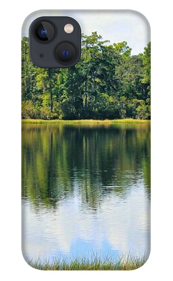 Serene Horse Shoe South Lake in Chuluota Florida - Phone Case