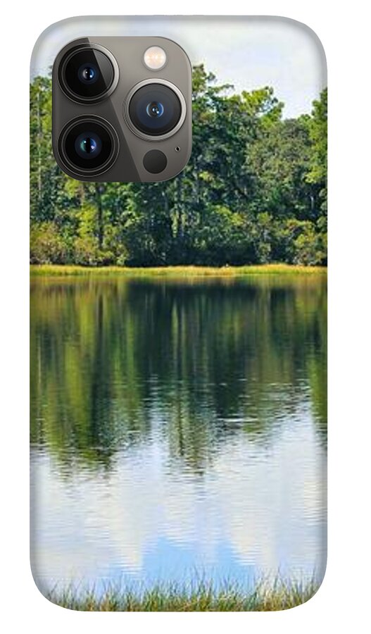 Serene Horse Shoe South Lake in Chuluota Florida - Phone Case