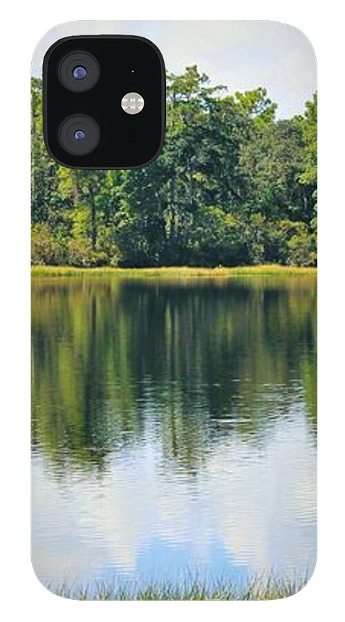 Serene Horse Shoe South Lake in Chuluota Florida - Phone Case