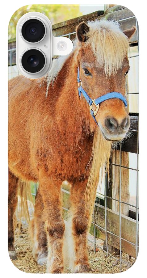 Shetland Pony in a Paddock - Phone Case