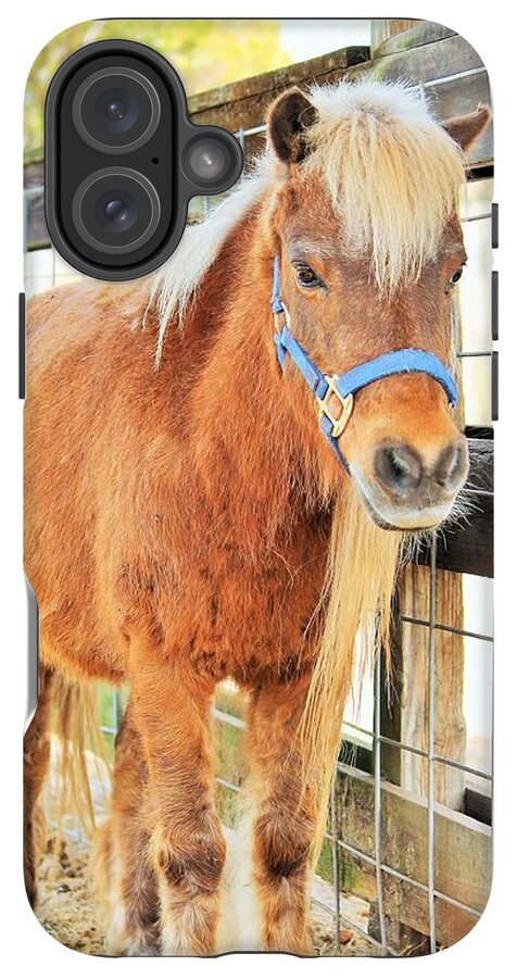 Shetland Pony in a Paddock - Phone Case