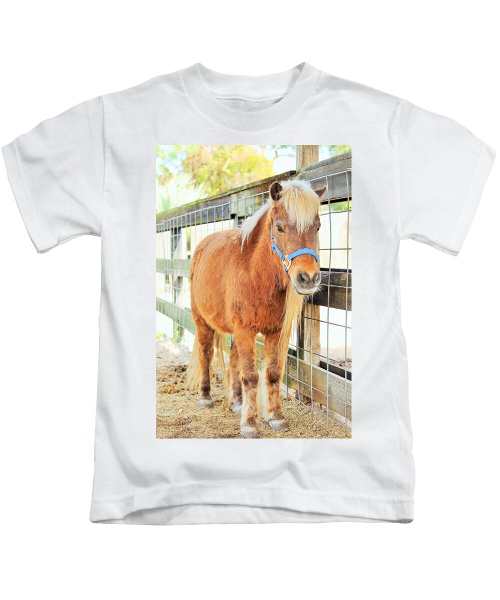 Shetland Pony in a Paddock - Kids T-Shirt
