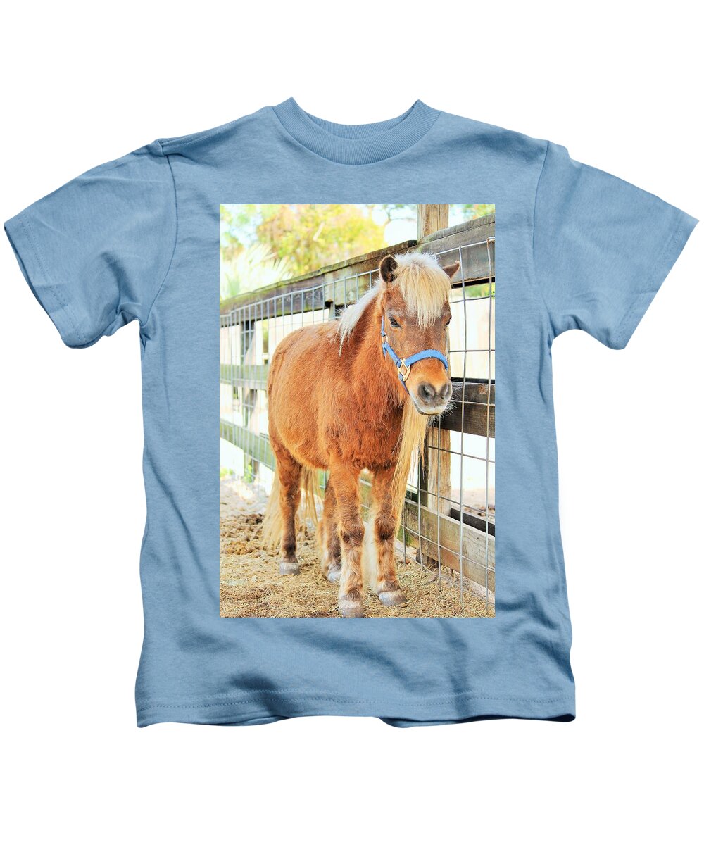 Shetland Pony in a Paddock - Kids T-Shirt